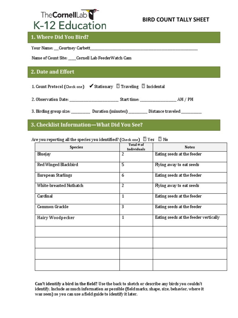 Bird Count Tally Sheet Template | PDF