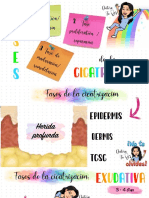 Fases de La Cicatrizacion PDF