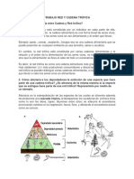 Taller #2 Red y Cadena Trofica Completo