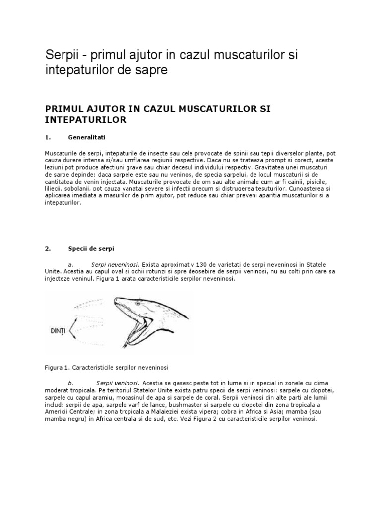 Serpi Albine | PDF