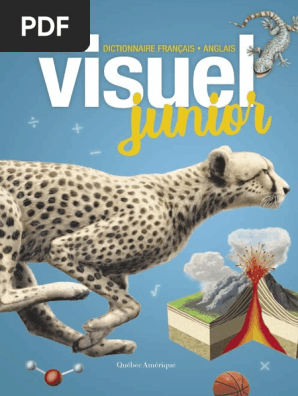 Visuel Junior Le Quebec Amerique Pdf Autobus Transport