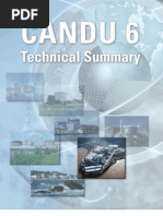 Download C6-Technical-Summary by Baimuc Buimac Rau SN50435008 doc pdf