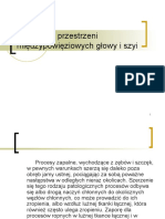 Topografia Przestrzeni Mieì Dzypowieì Ziowych Gåowy I Szyi