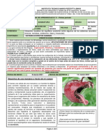 Biologia Guia #5 - Sistema Excretor