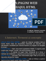 documente.net_pagini-web-limbajul-html-
