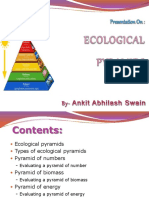 Ecologicalpyramidsppt 190224120811