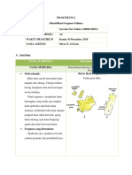 Jurnal Praktikum 2_A_10060319031_Syavina Nur Zahira