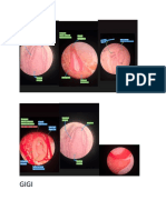 Histologi