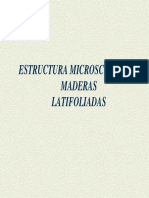 61.- Microscopia de Maderas Latifoliadas