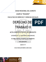 ACTA CONSTITUTIVA - Manuel Eduardo Luis Hernández