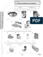 Ciencias 2.º: ¿Cómo Me Relaciono Con El Entorno?