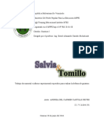 Guiatura Salvia y Tomillo (1)
