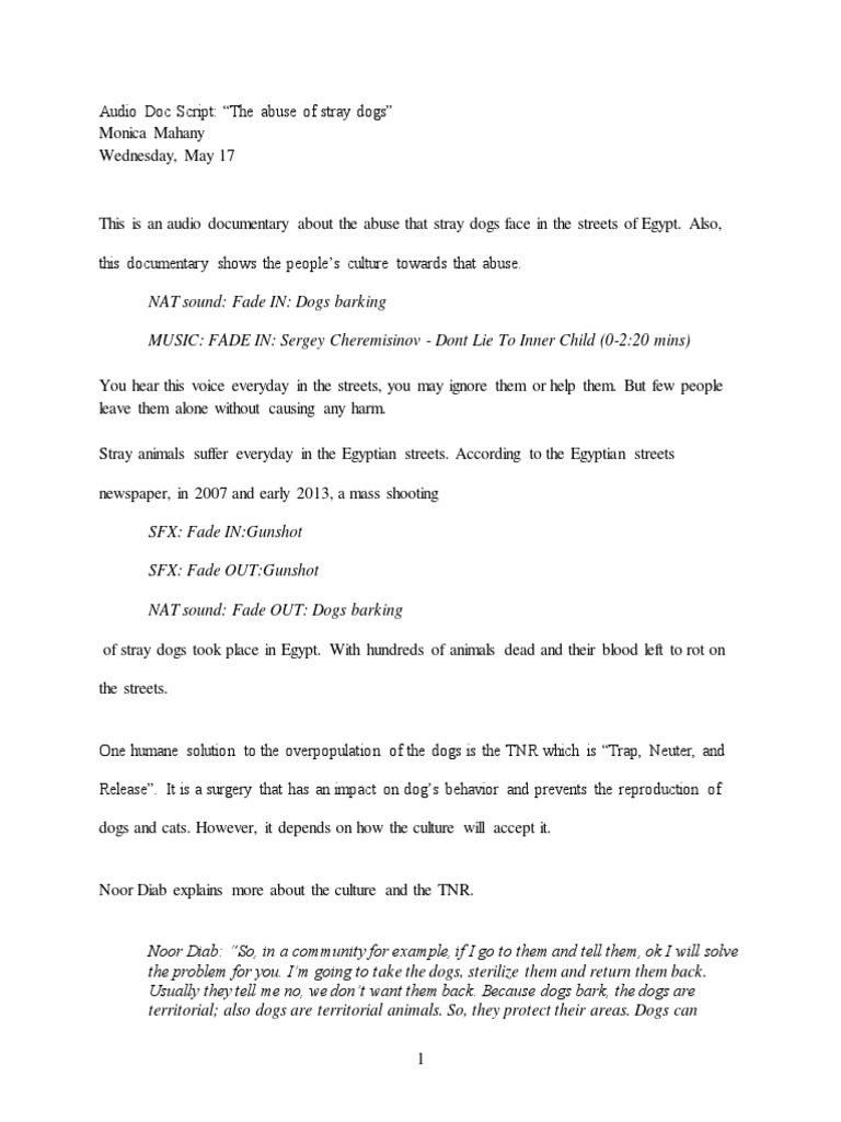 Stray Dog Abuse in Egypt: A Documentary | PDF | Dogs | Animals And Humans