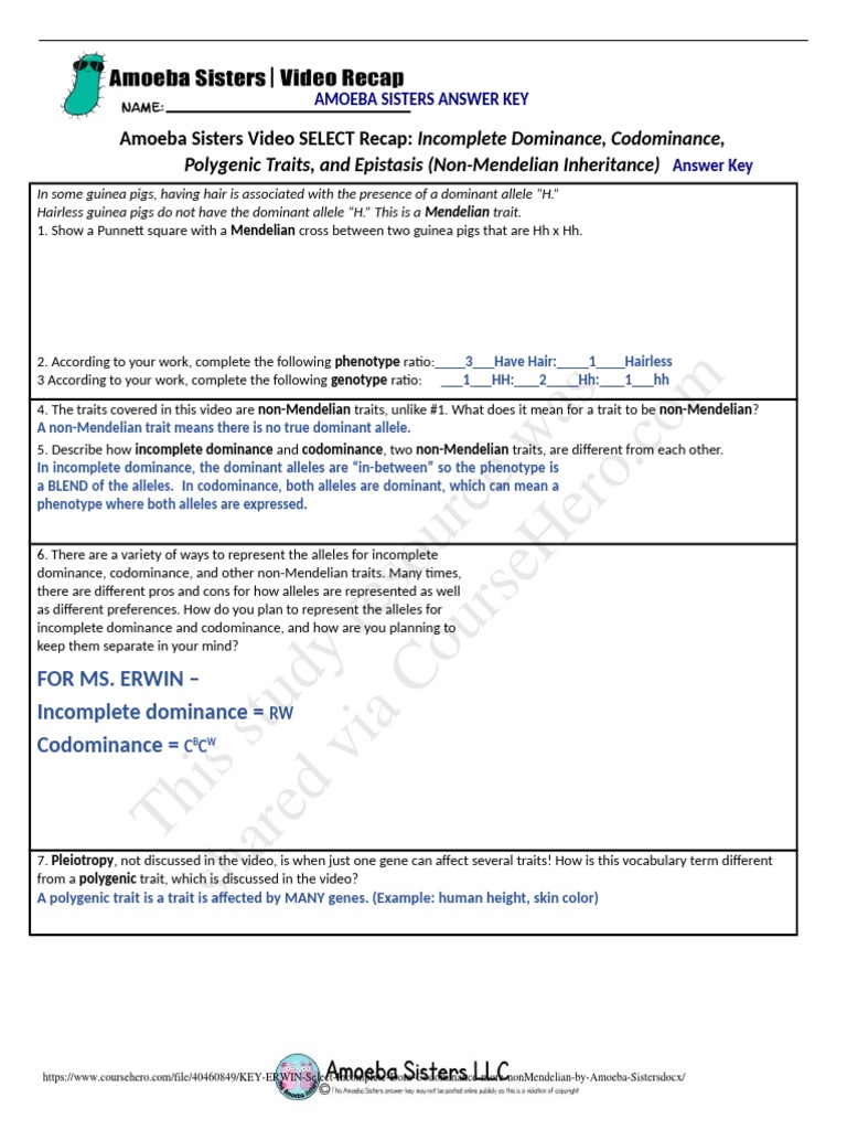this-study-resource-was-h-h-h-h-h-h-pdf-dominance-genetics-phenotypic-trait