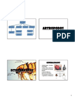 Artropodos: Generalidades y clase Aracnida