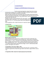 Industri Belerang Asam Sulfat