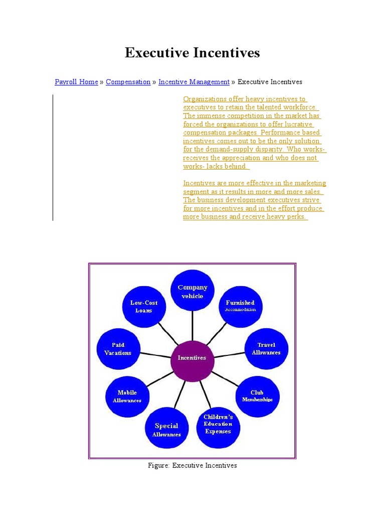 Executive Incentives | PDF