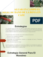 Exposicion Como Evaluar El Nivel de Daño de La Roya en Cafe (Grupo 1)