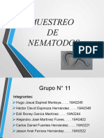 MUESTREO DE NEMATODOS