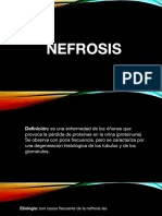 Nefrosis