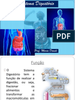 Sistema Digestório: Estrutura e Função