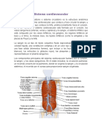 Sistema Cardiovascular