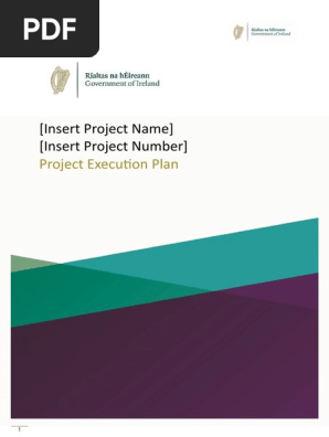 9-Project-Execution-Plan