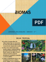 Frizo Virtual Biomas