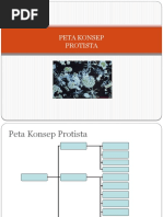 Download PETA KONSEP PROTISTA by mrswoodorackles SN50444912 doc pdf