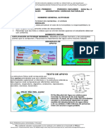 Guia 4 - Ciencias Naturales