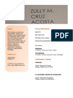 Cv-Zully Cruz