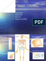 Klasifikasi Tulang