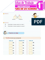 Antes y Despues de Un Número Para Primer Grado de Primaria