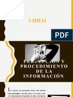 Percepcion y Procedimientos de Informacion