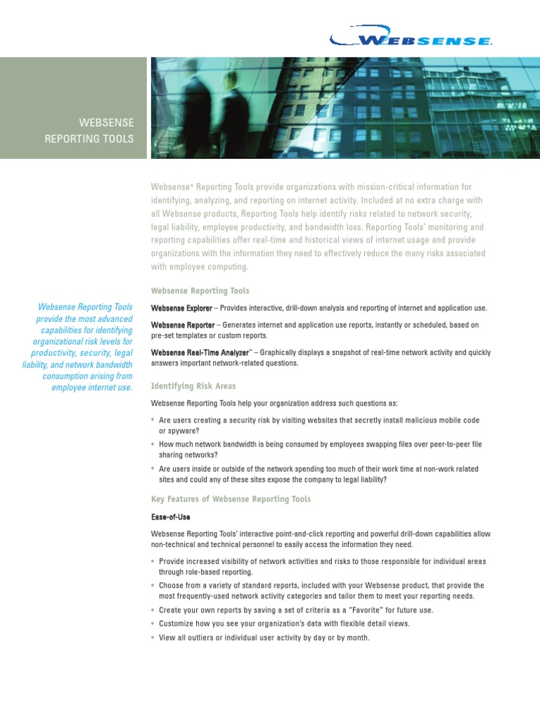 Final Reporting Tools Datasheet | PDF | Internet | Computer Network
