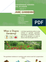 Organic Gardening at Universidad Agraria del Ecuador