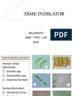 Optimized Title for Indicator Organisms Document