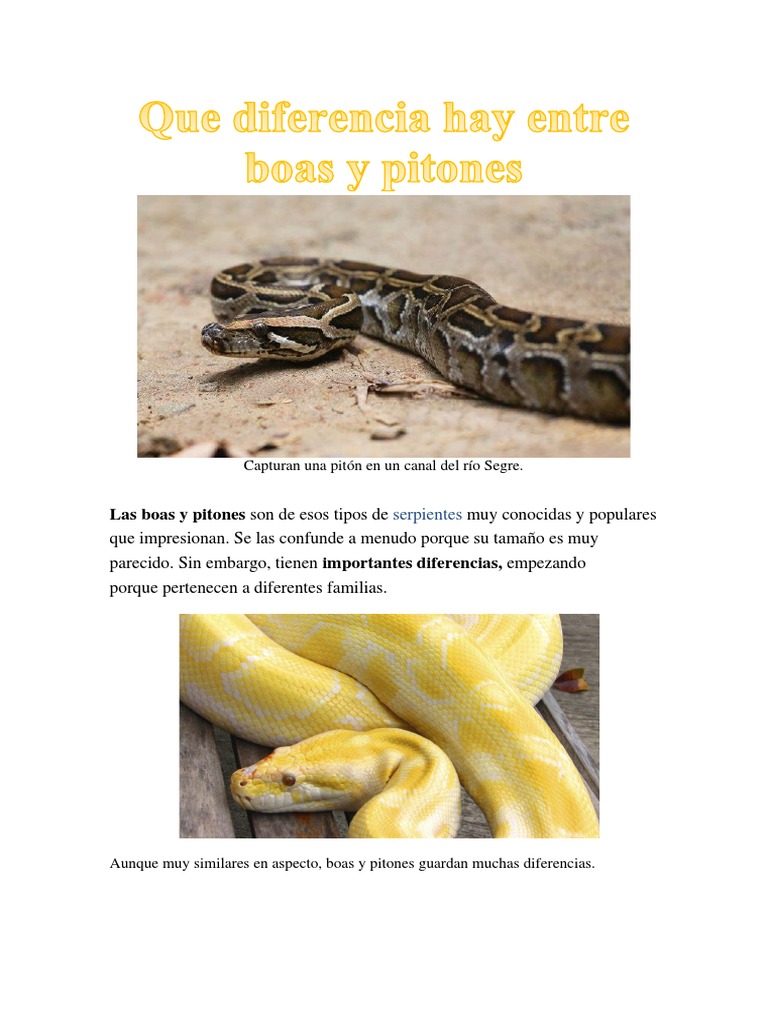 Diferencia Entre Boas y Pitones PDF