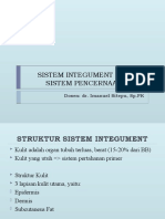 PPT SISTEM INTEGUMENT 5