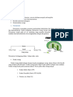 Anabolism e