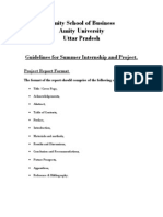 Amity Business School Summer Internship Project Guidelines
