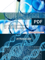 Curso: Tópicos Especiales de Bioecnología Tema:: Terapia Genetica Doc.: Dra. Decheco Egusquiza Alicia Cecilia