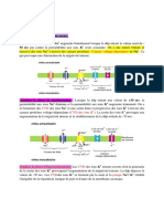 Dépolarisation Et Repolarisation