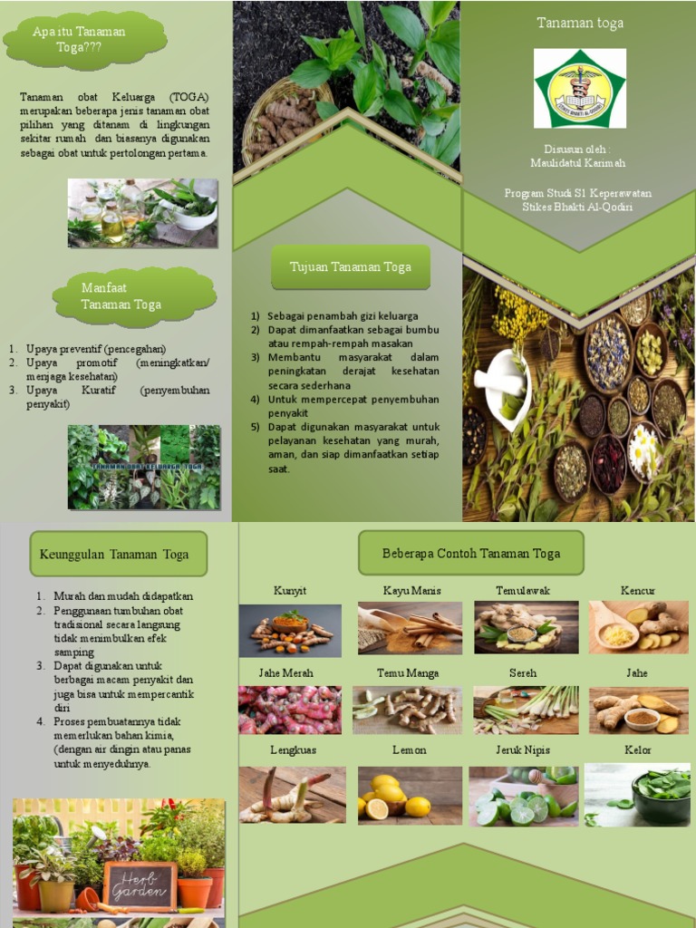Leaflet Toga Pdf