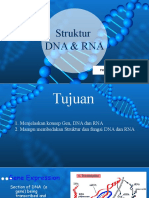 DNA & RNA Structure Explained