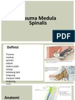 Trauma Medulla Spinalis