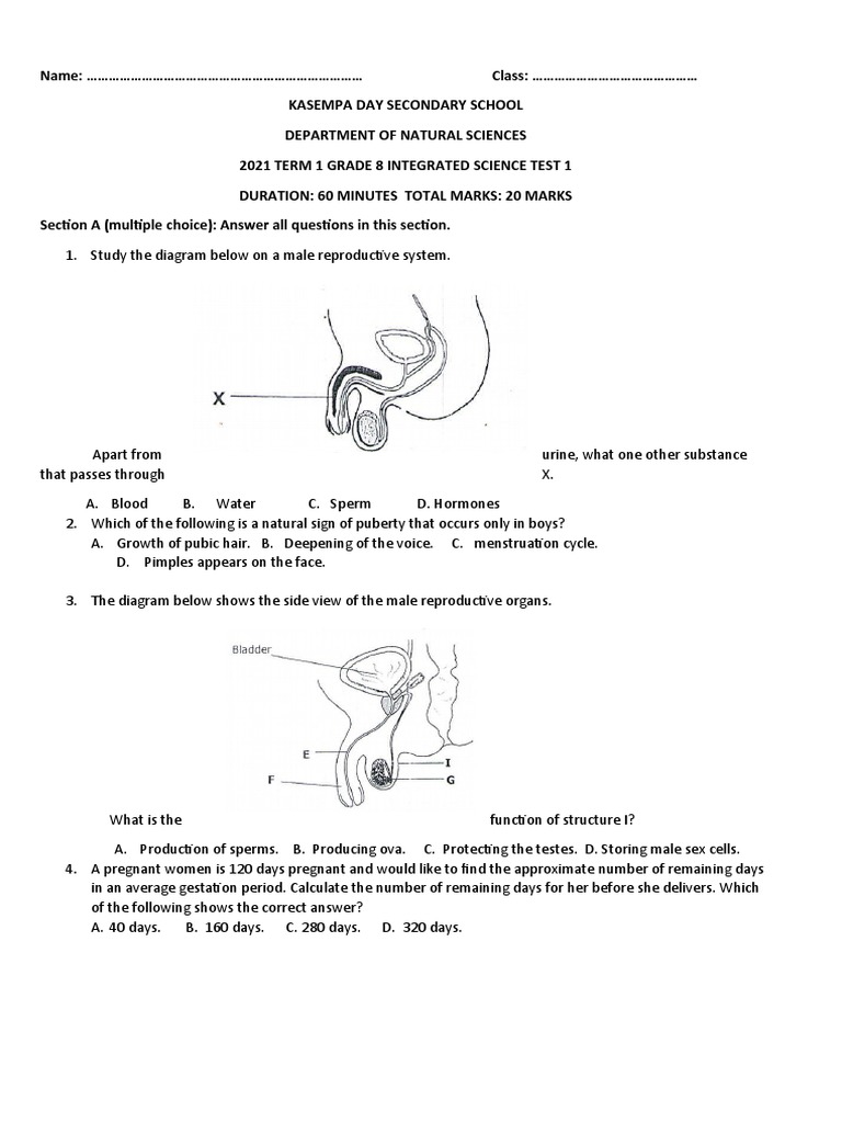 Grade 8 Integrated Science Test Term 1 | PDF | Reproductive System ...