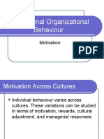 International Organizational Behaviour