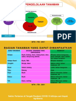 Strategi Pengembangan Pertanian di Tengah Pandemi COVID-19