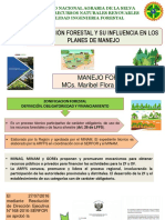 Clase 1 Zonificacion Forestal